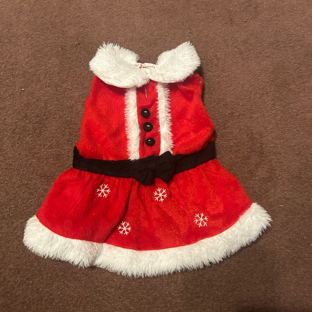 Red Santa Dog Dress with White Trim - Picture 15 of 15